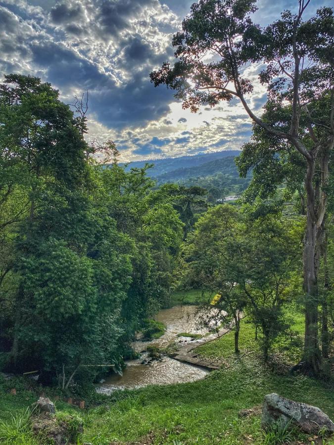 ホテル Cielo Abierto Glamping Valle de San José エクステリア 写真