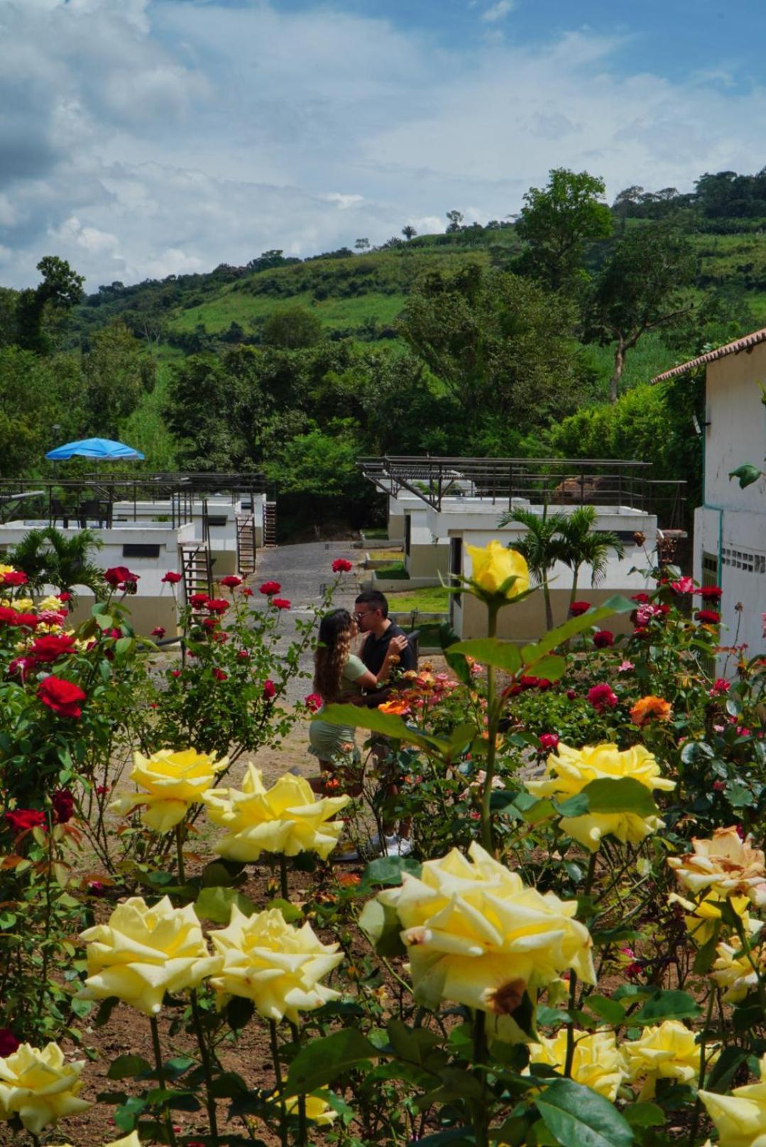 ホテル Cielo Abierto Glamping Valle de San José エクステリア 写真