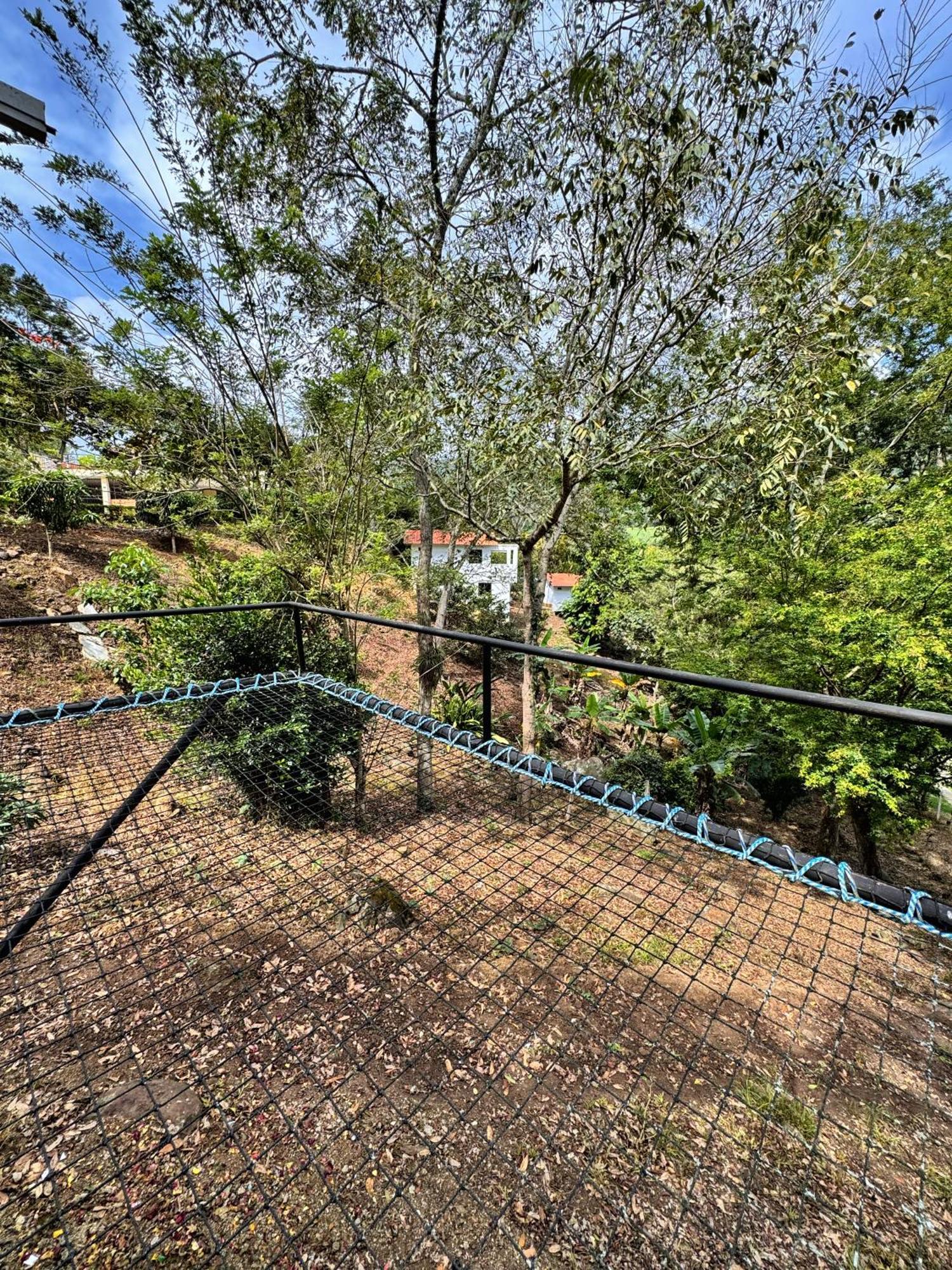 ホテル Cielo Abierto Glamping Valle de San José エクステリア 写真